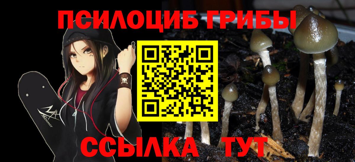 Галлюциногенные грибы мухоморы Кириши