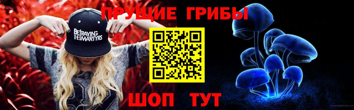 Галлюциногенные грибы ЛСД  Галлюциногенные грибы Psilocybe  Вход с VPN  Кириши 
